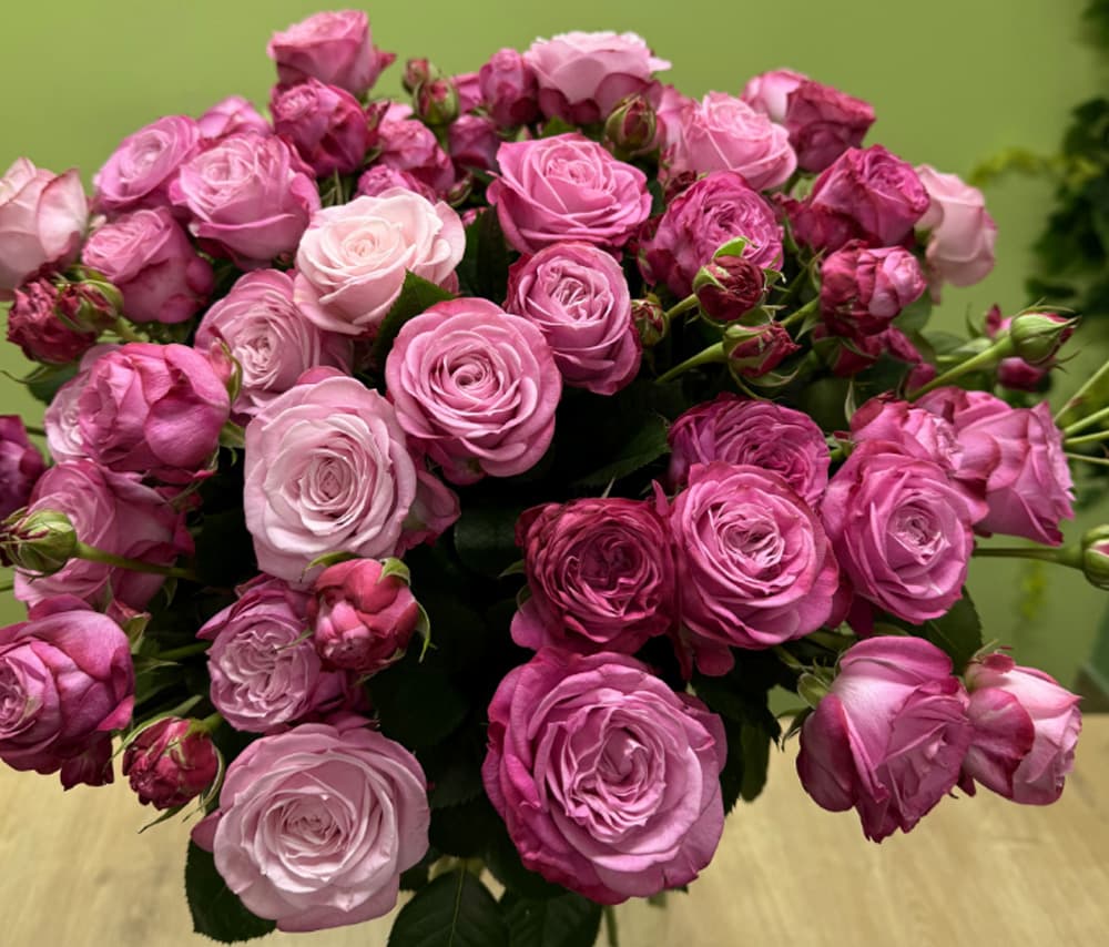 Փնջային վարդ (1 ճյուղ) «Royal Spray Roses»