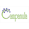 Campanula