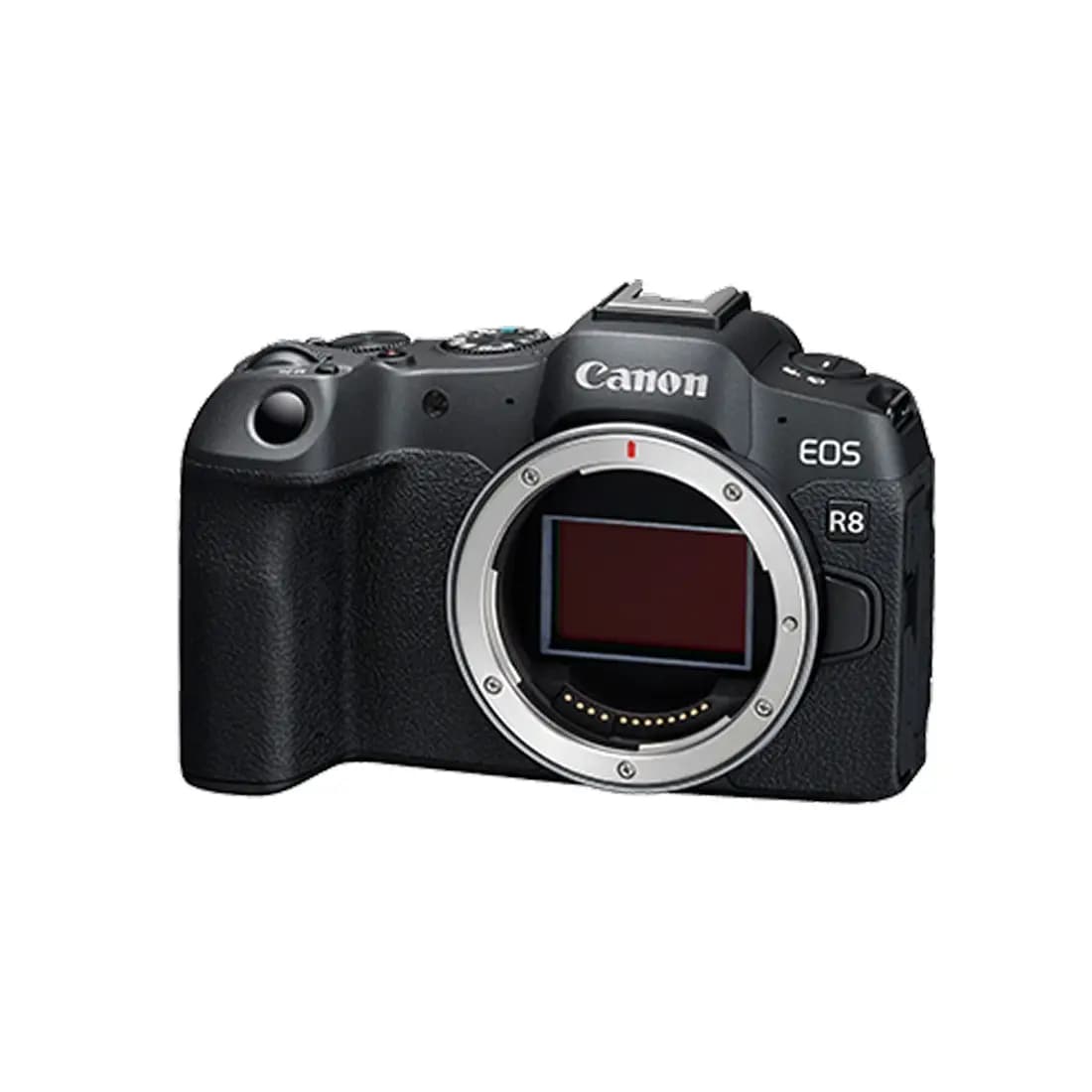 Ֆոտոխցիկ Canon R8 Body