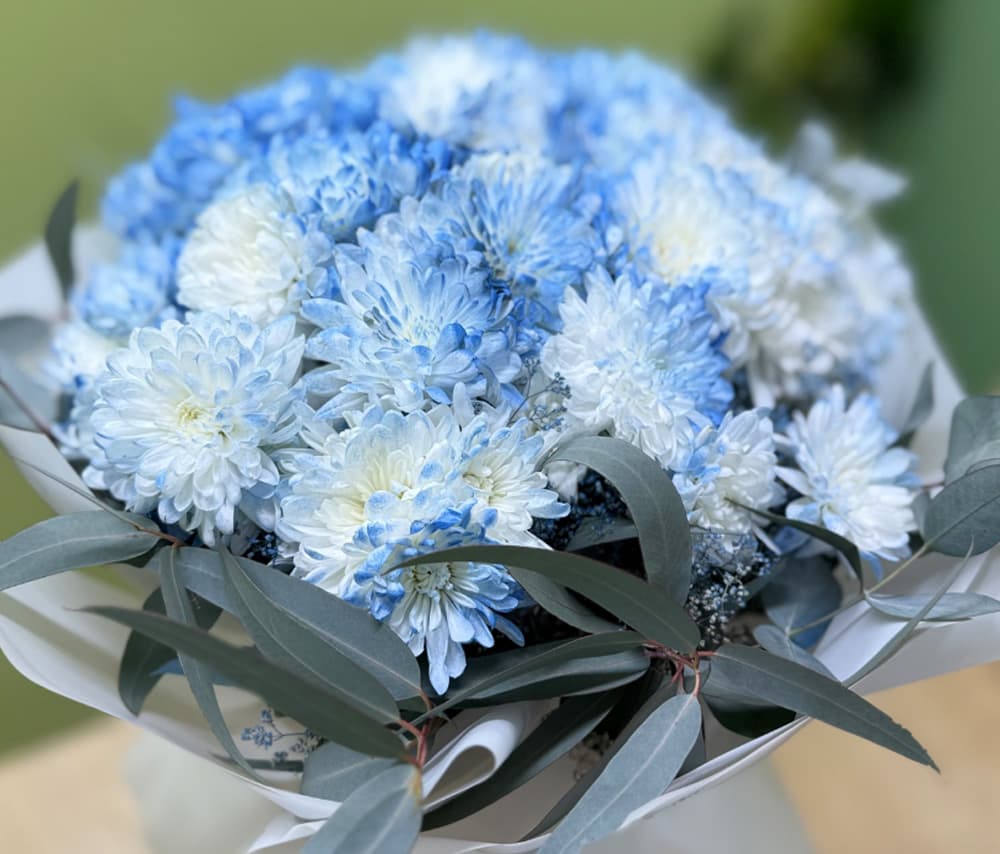 Ծաղկեփունջ «Velvet Bloom»