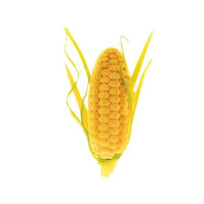 Սիլիկոնե կաղապար PANNOCCHIA 20 N.12 68x26 H 21մմ Yellow