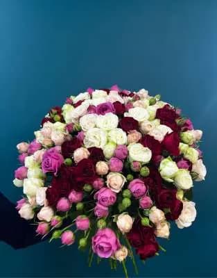 Վարդեր N63 MariEll Flowers
