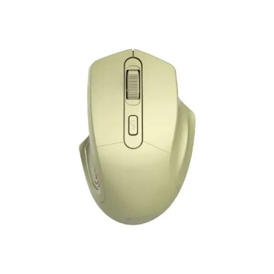 Canyon Wireless Mouse CNE-CMSW15GO (Golden)
