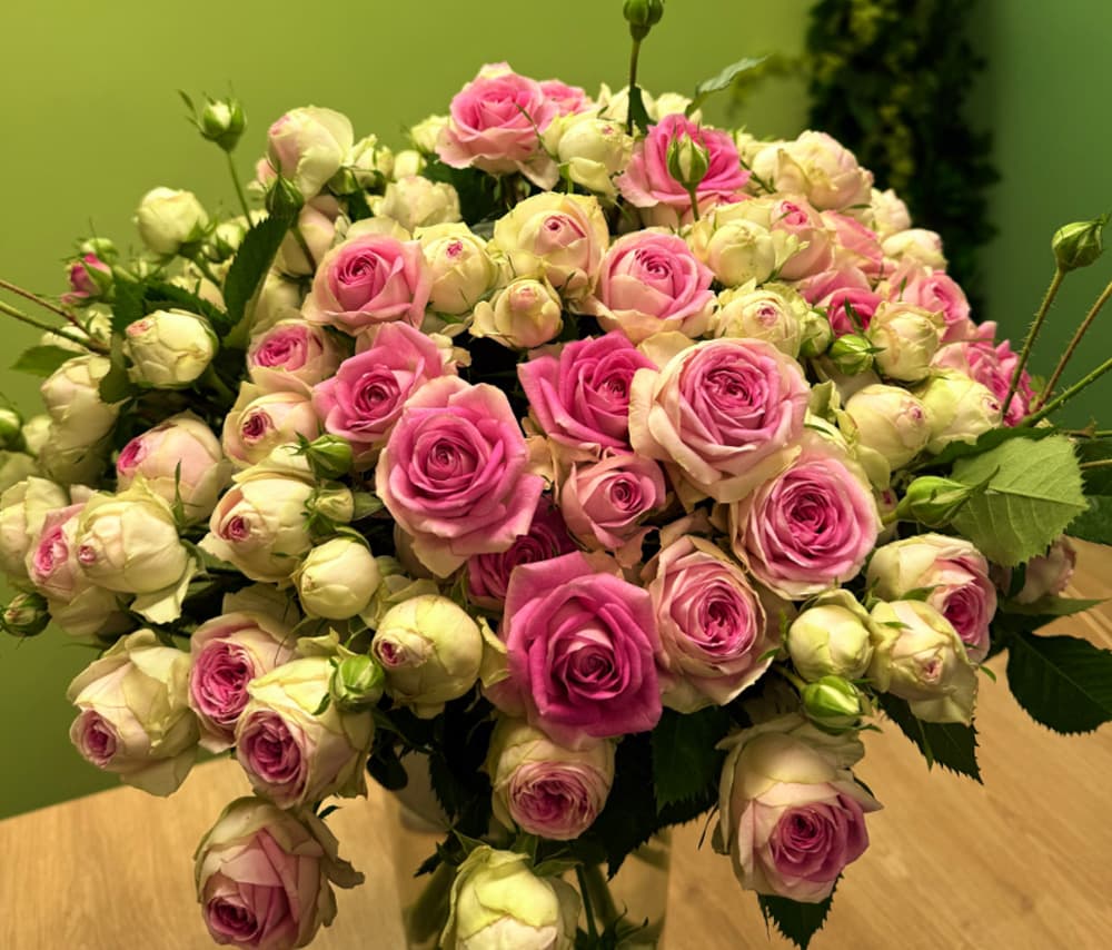 Փնջային վարդ (1 ճյուղ) «Delicate Rose Garden»