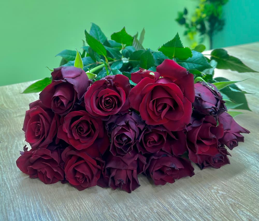 Վարդ «Կարմիր» (1 шт.)